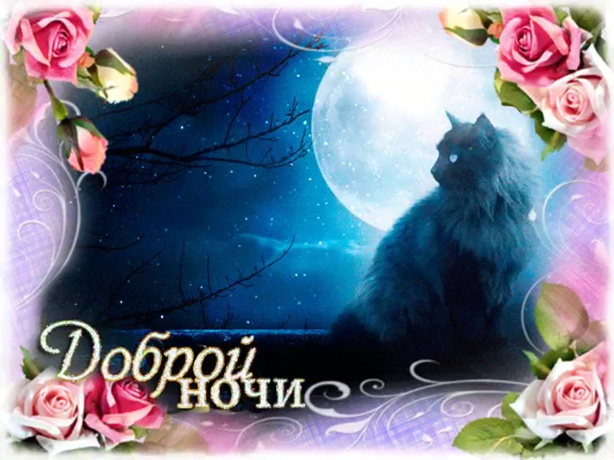 Уютного вечера