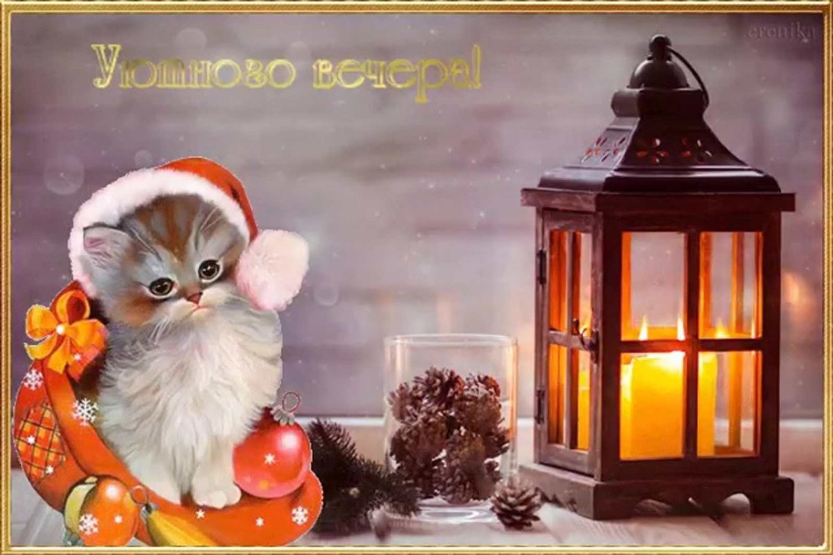 Утро кофе кот