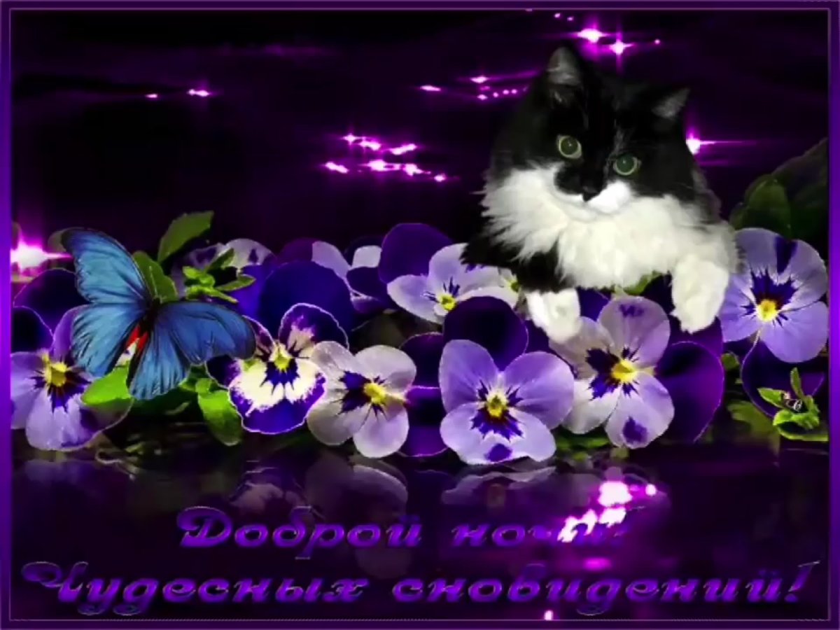 Окрыкасдобрым вечером