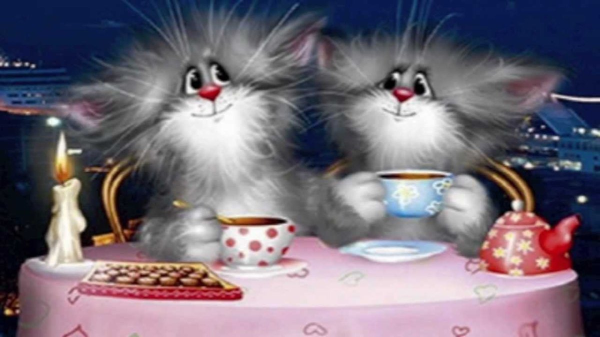 Добрый вечер с котиками