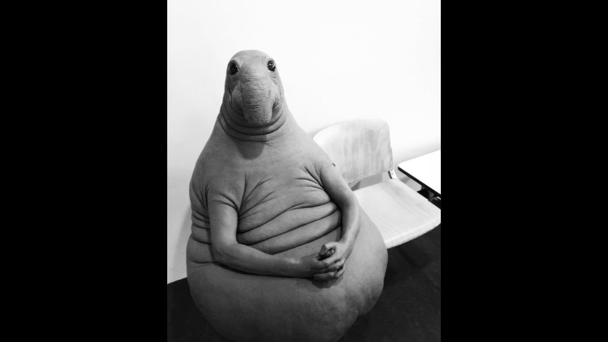 Что ждет Калугу