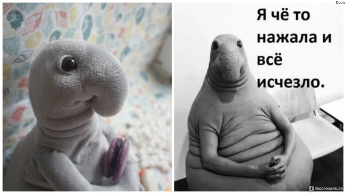 Ждун девушка