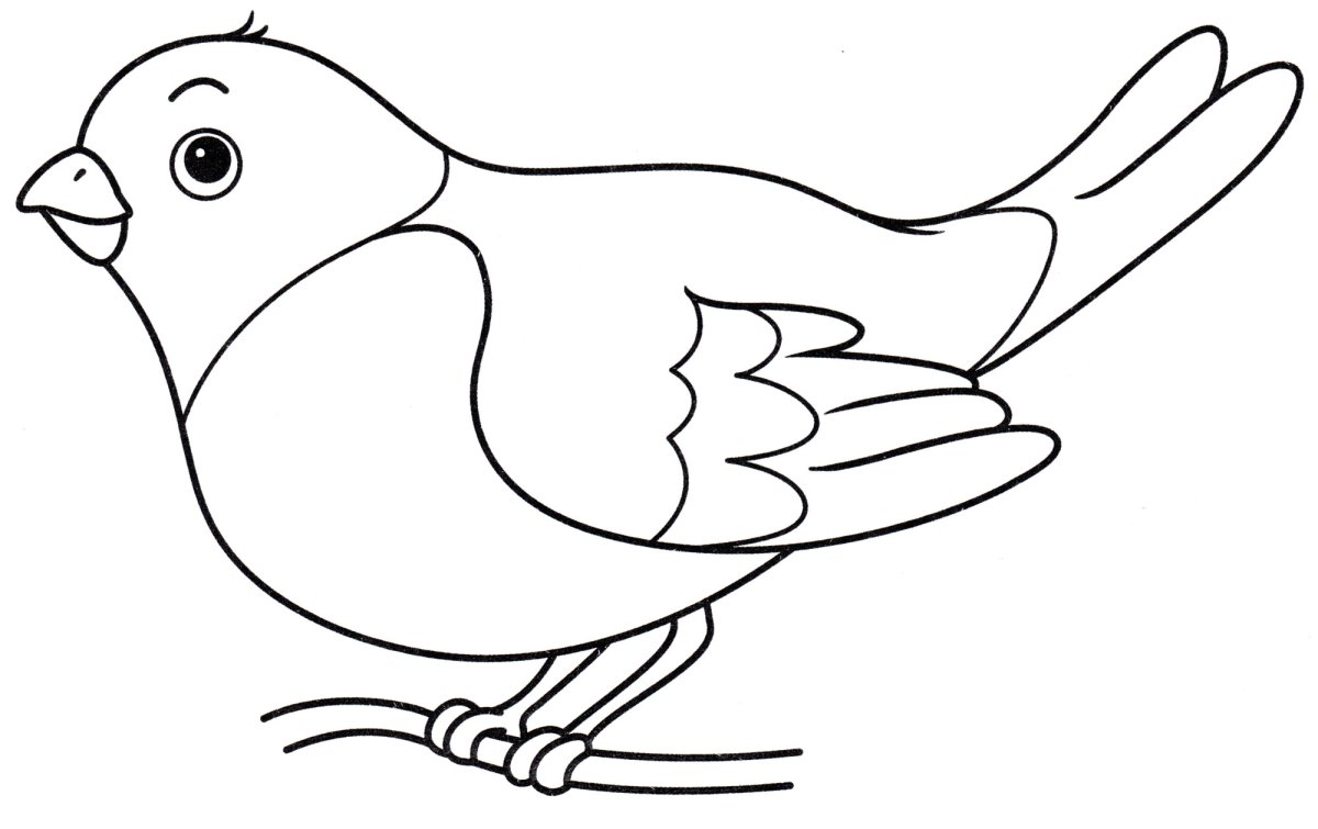 Зимующие птицы обводка