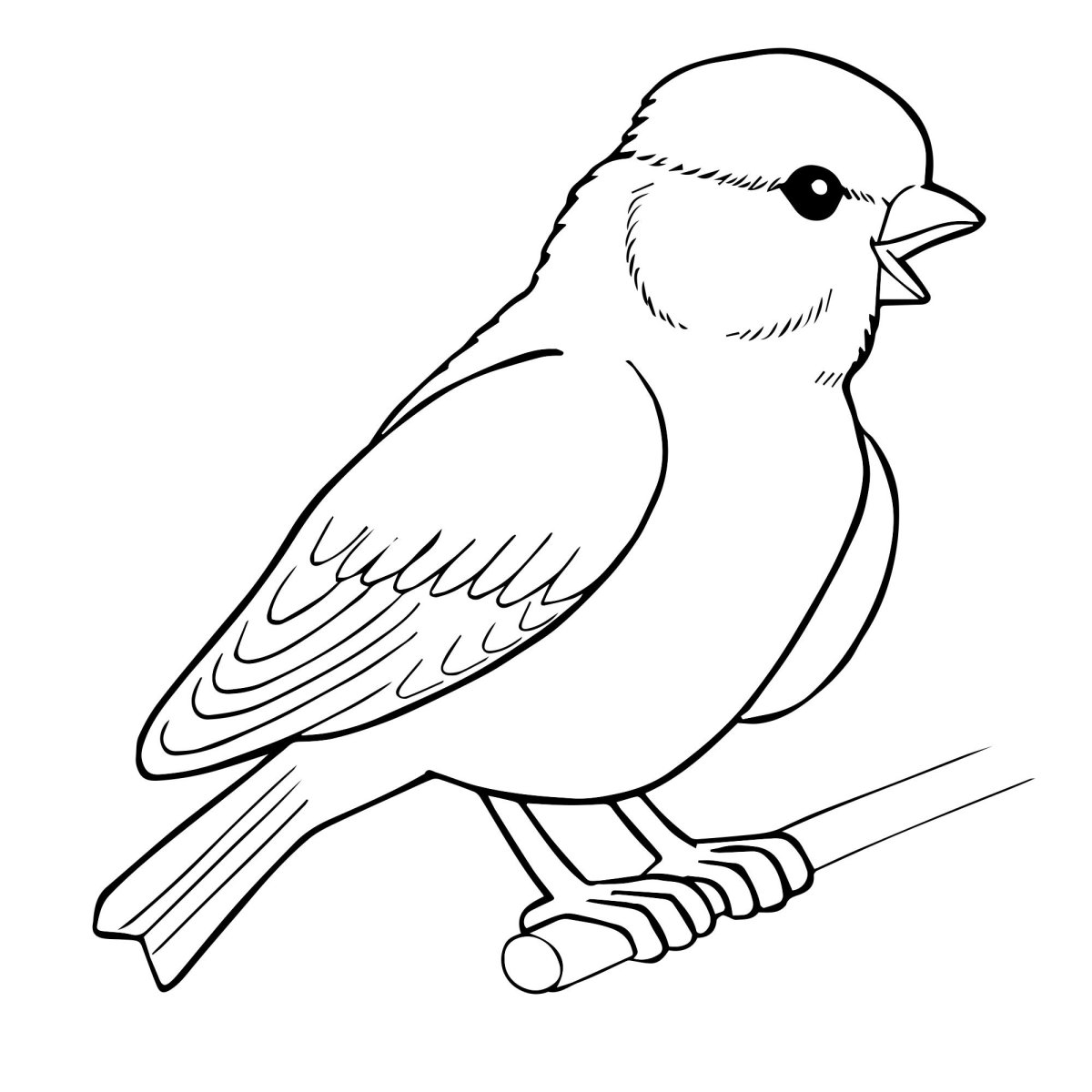 Снегирь раскраска