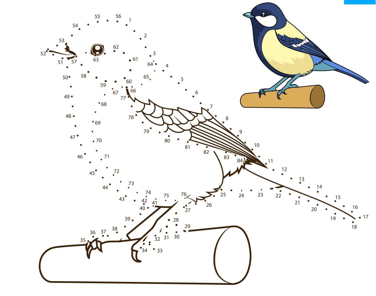 Синичка раскраска для детей