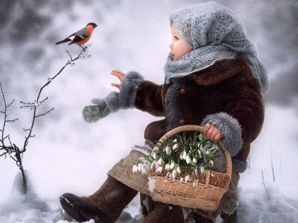 Прекрасные мгновения зимы