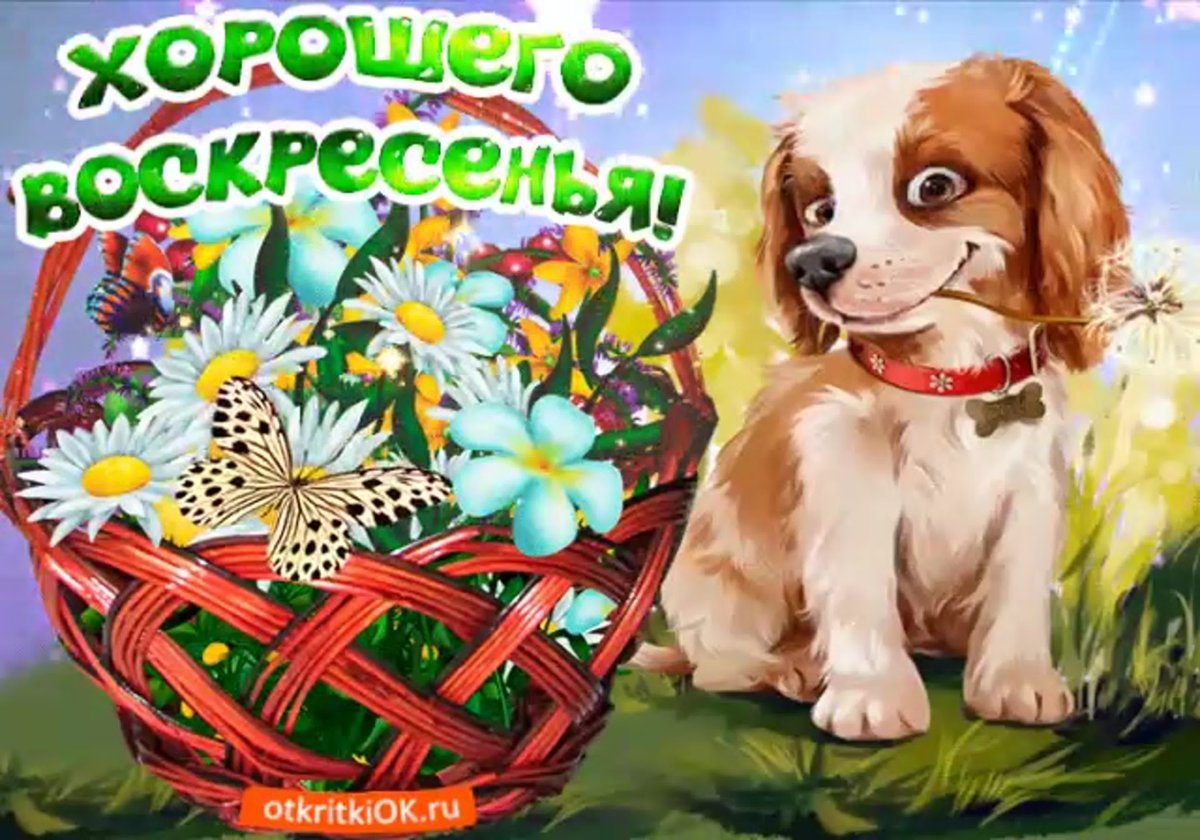 Хорошего воскресного утра