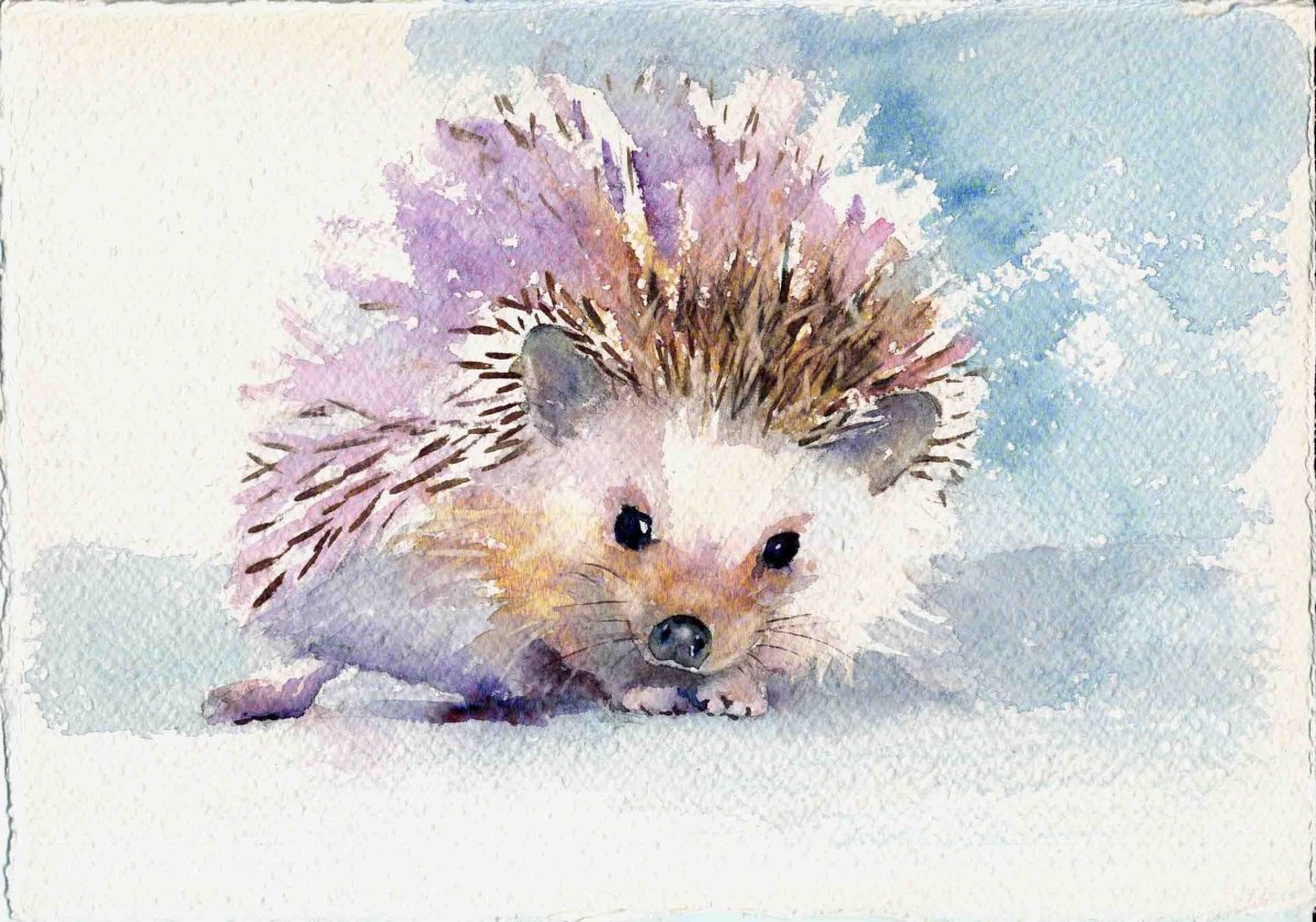Еж акварелью