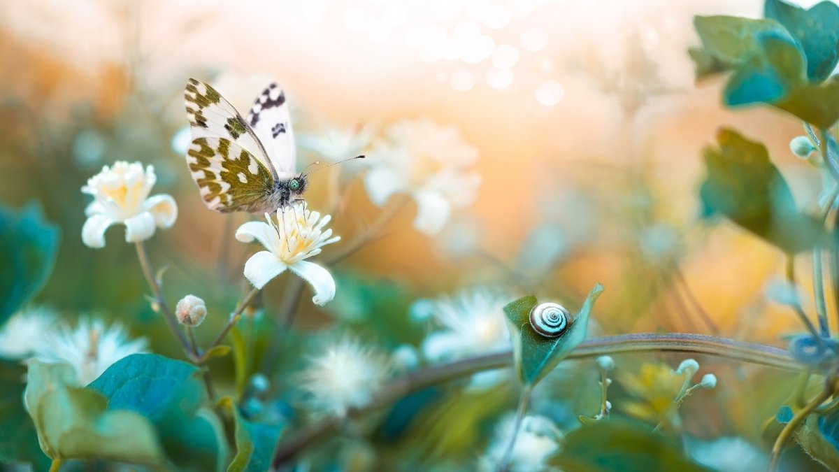 Радость счастье Гармония