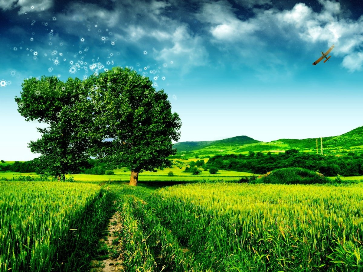 Летняя тематика