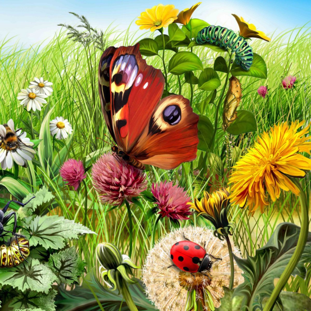 Бабочки на желтых цветах