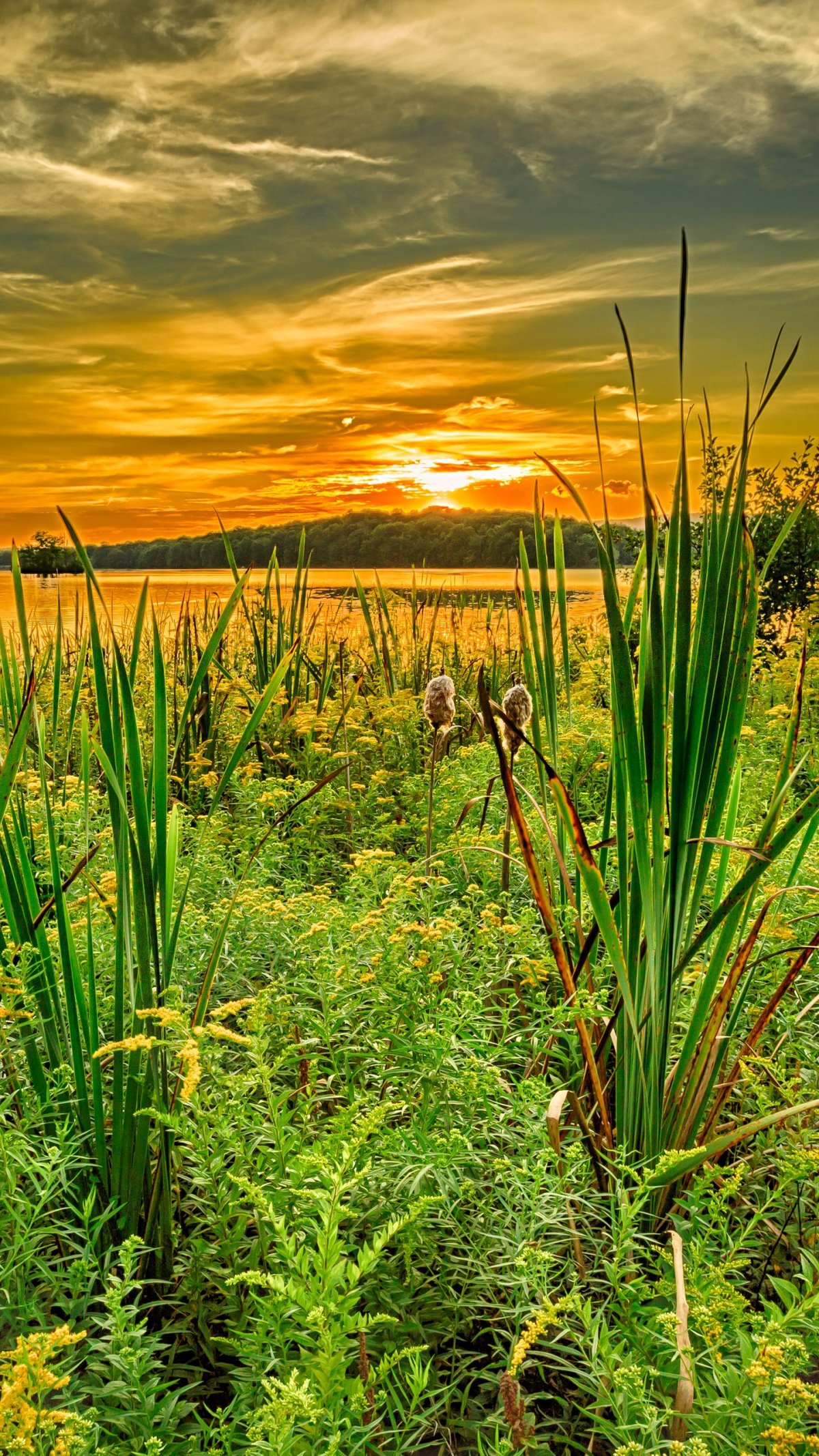 Красивые картинки