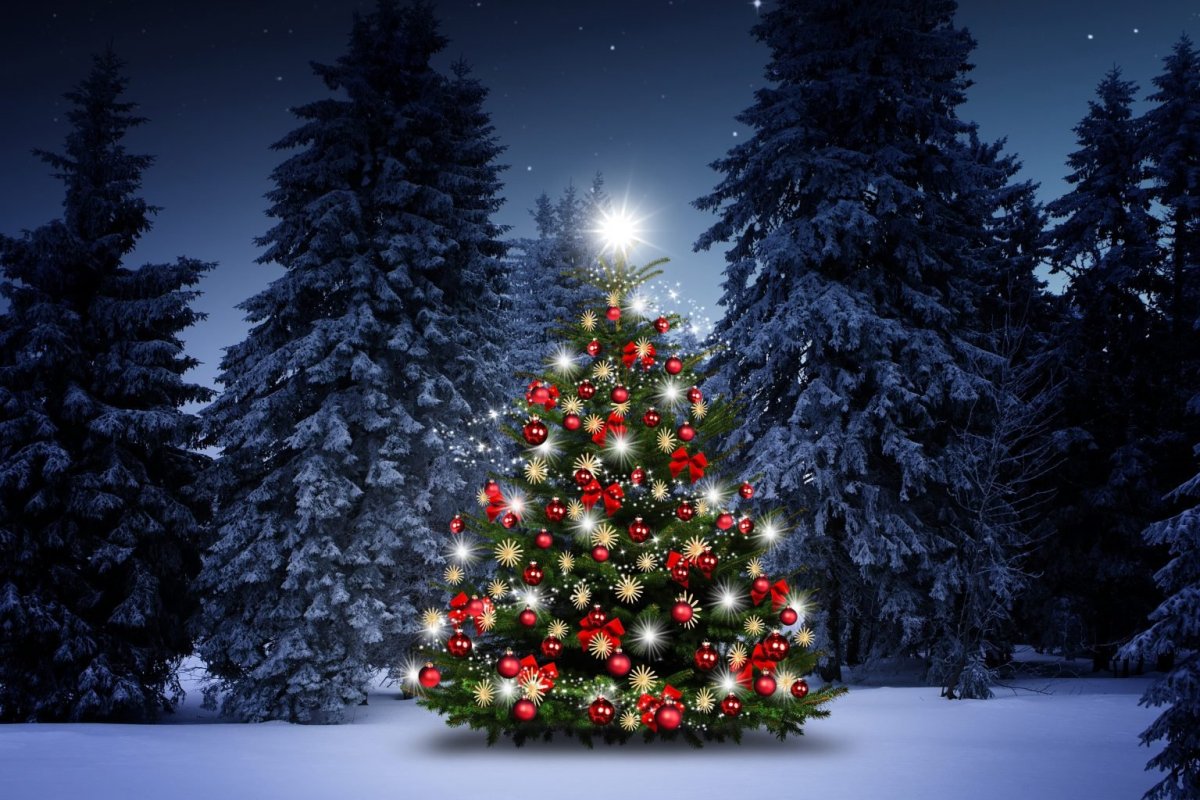 Новогодняя ель