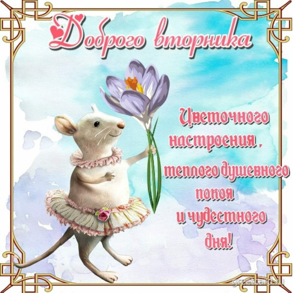 Открытки позитивные для мужчин