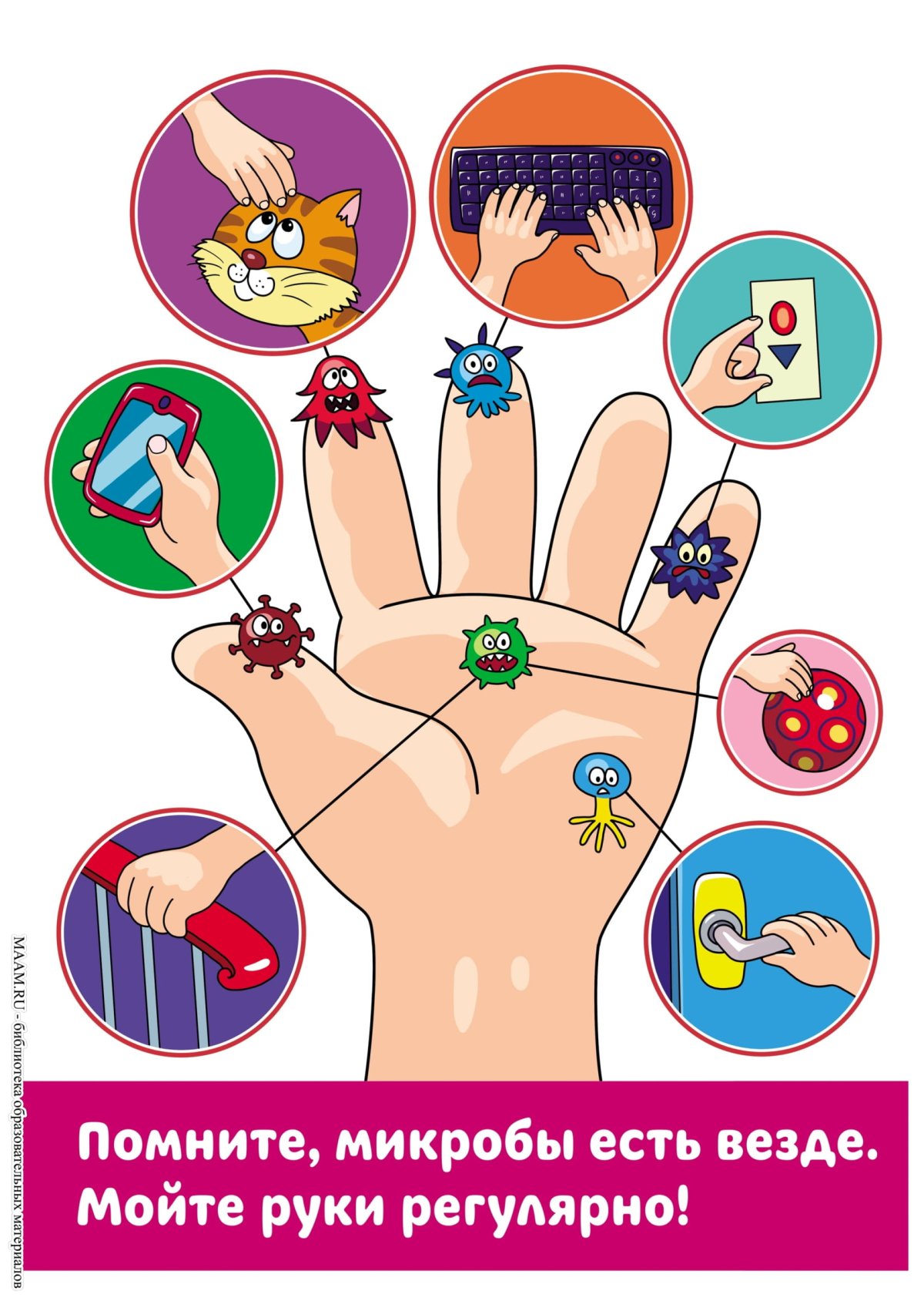 Бактерии в лупе