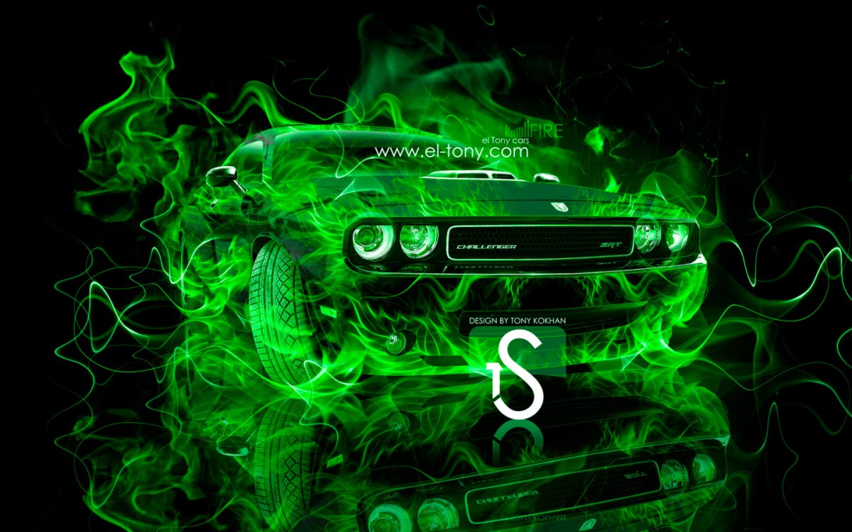 Крутой енот