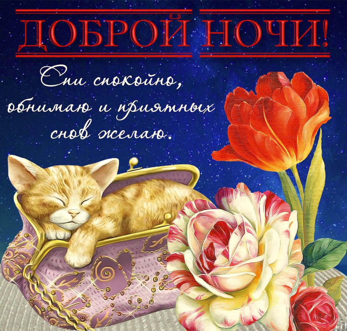 Спокойной ночи друзья