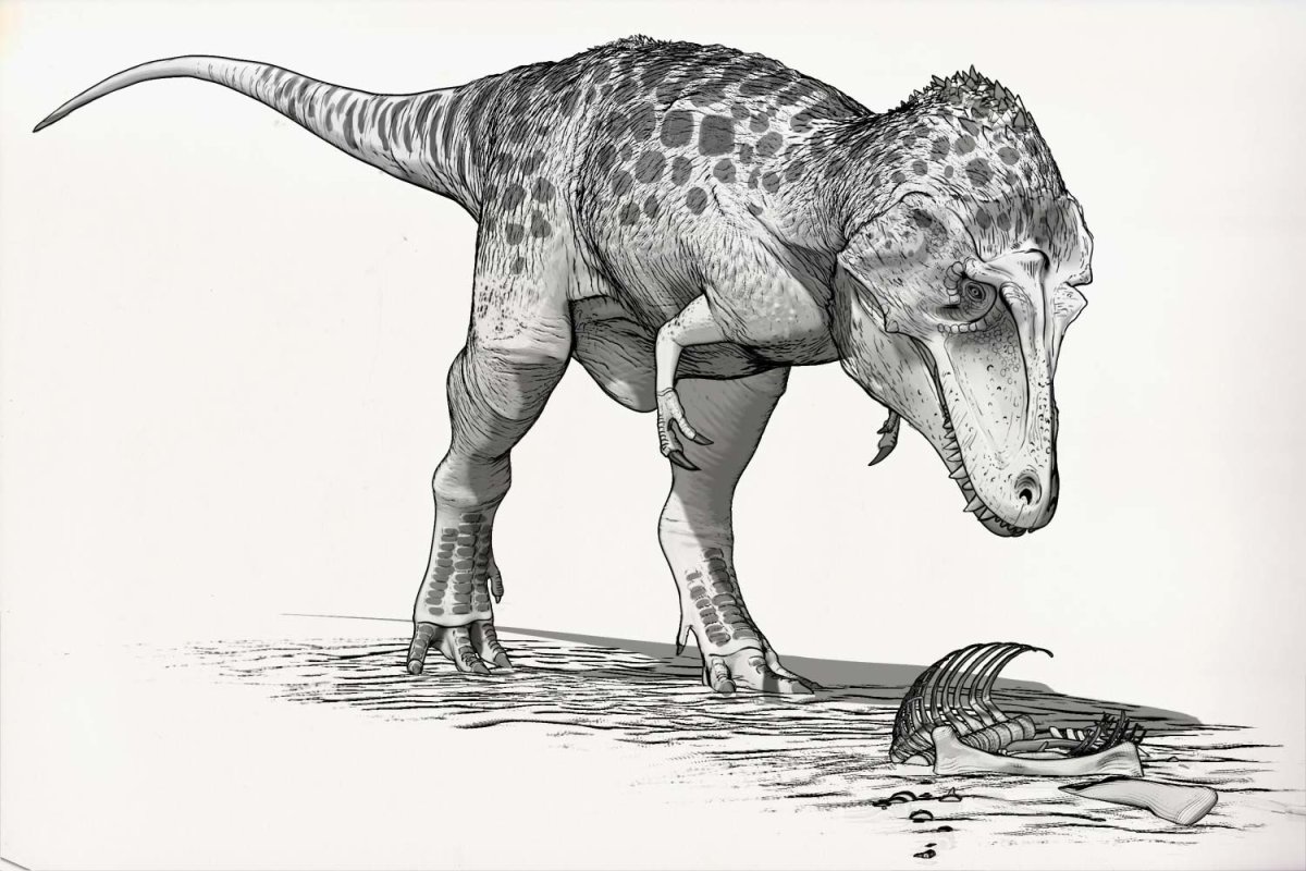 Литронакс Атучин