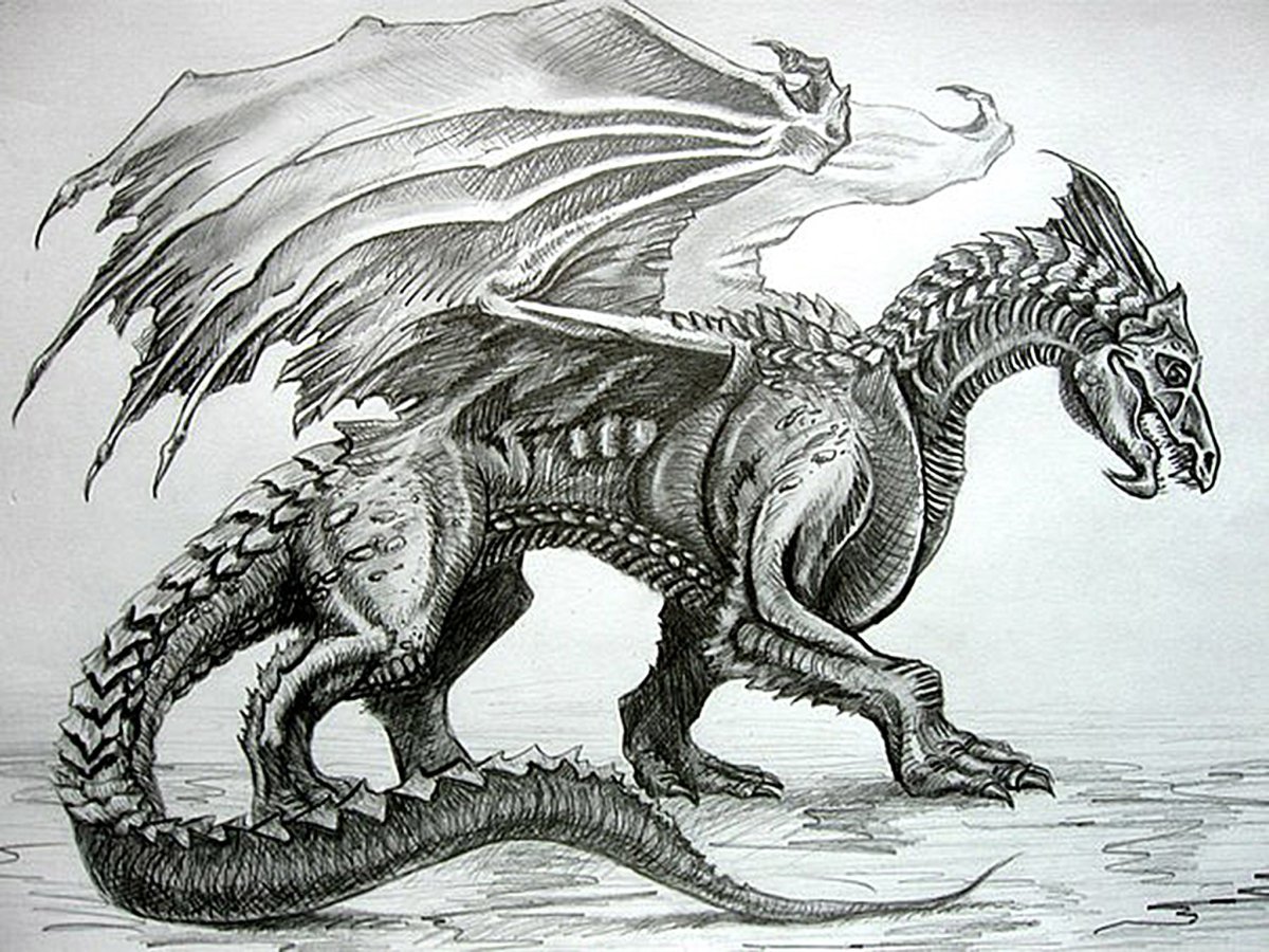 Дракон карандашом