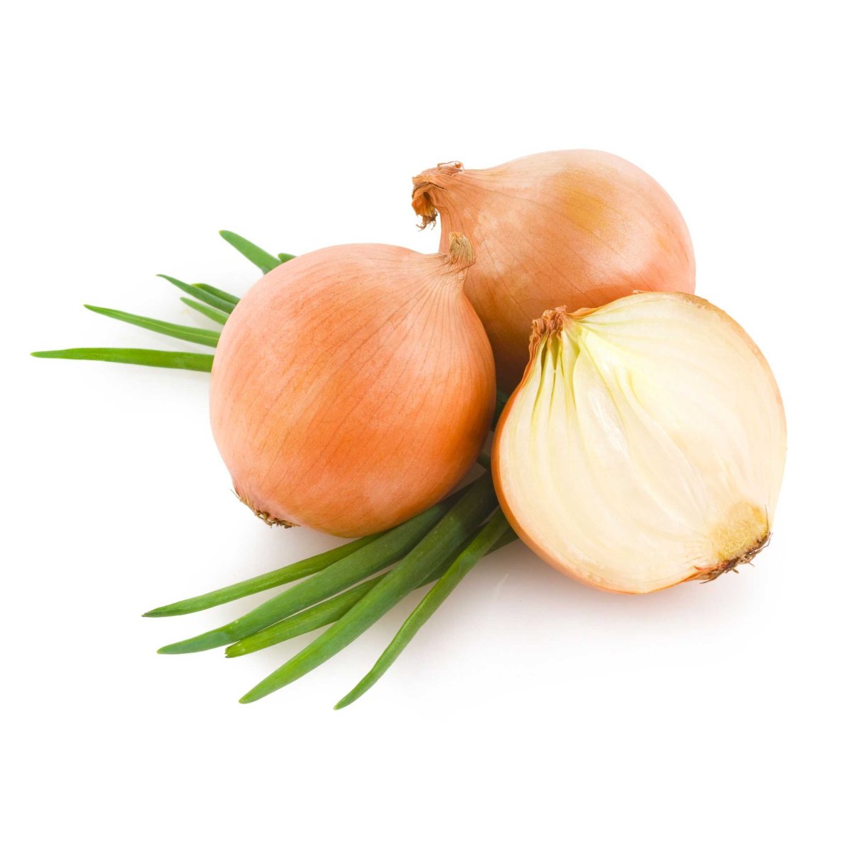 Лук репчатый