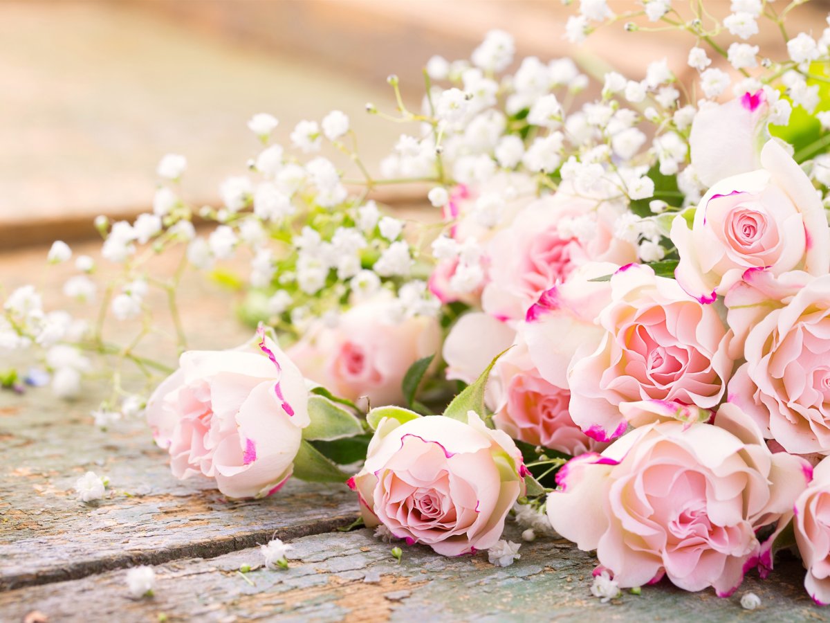 Нежные цвета