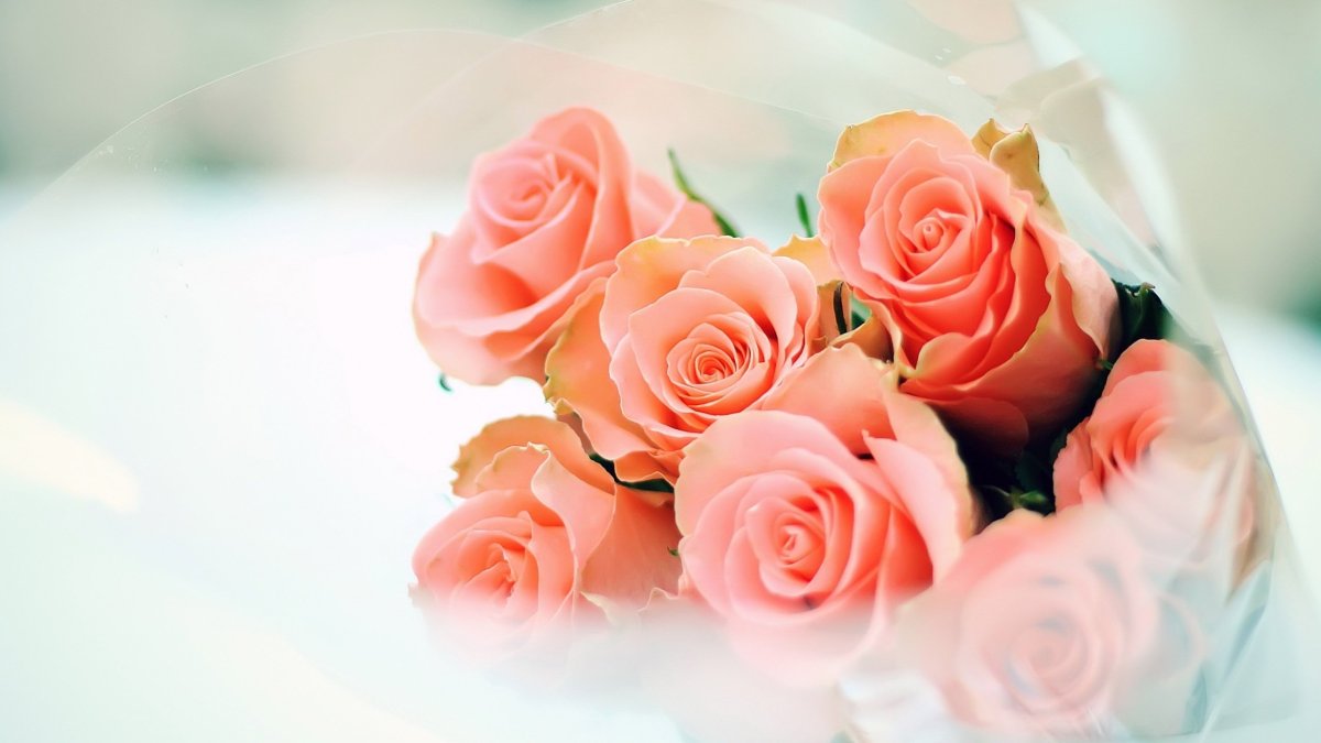 Нежный цветок