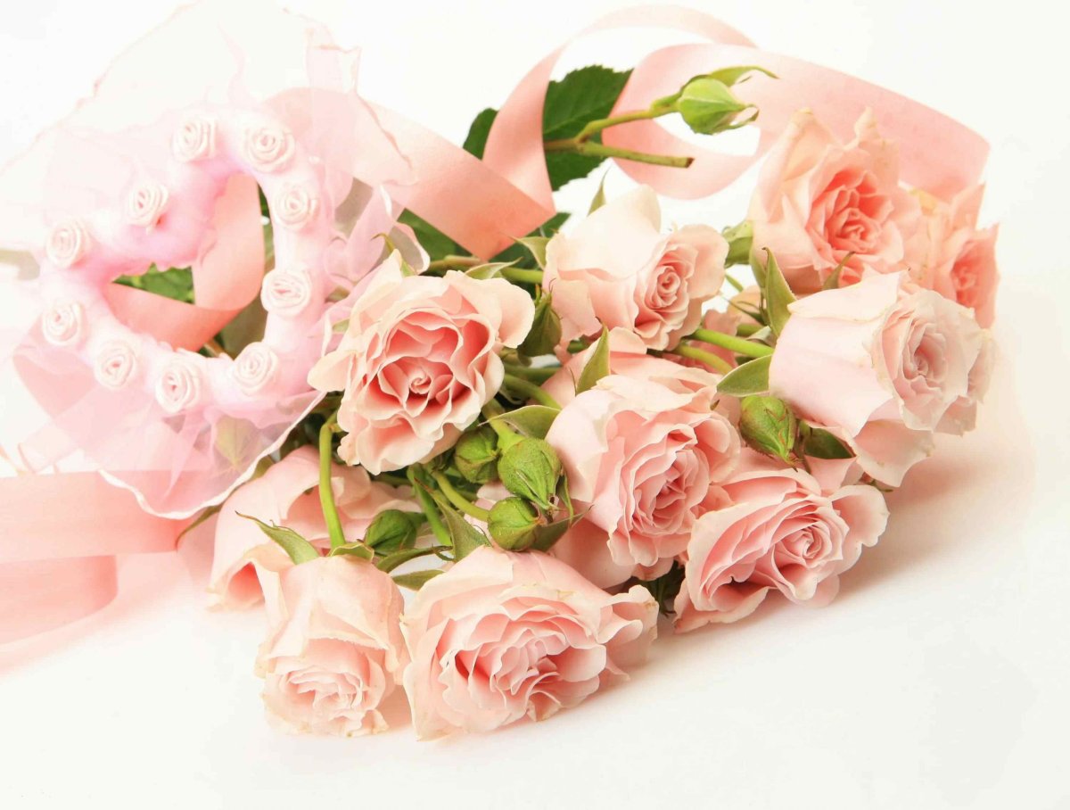 Нежные розы