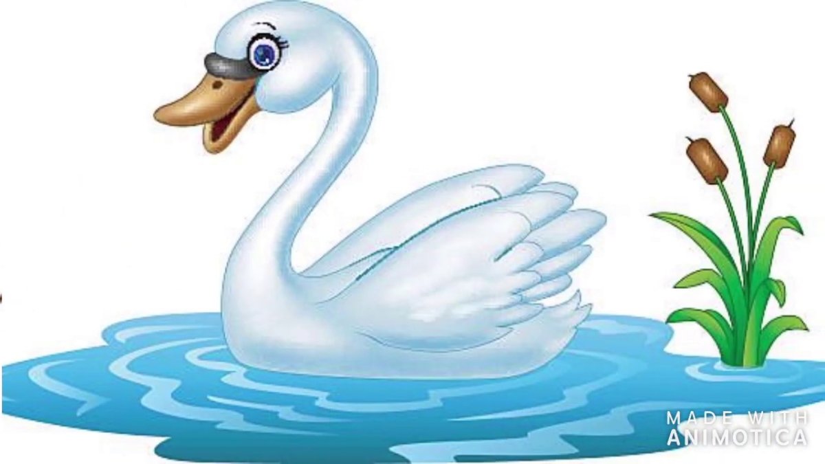 Картинка лебедь для детей на прозрачном фоне для детей