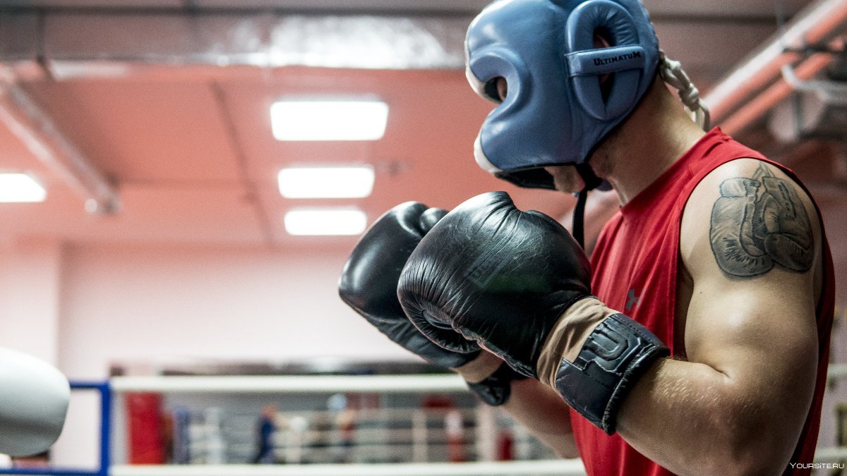 Полина боксерша