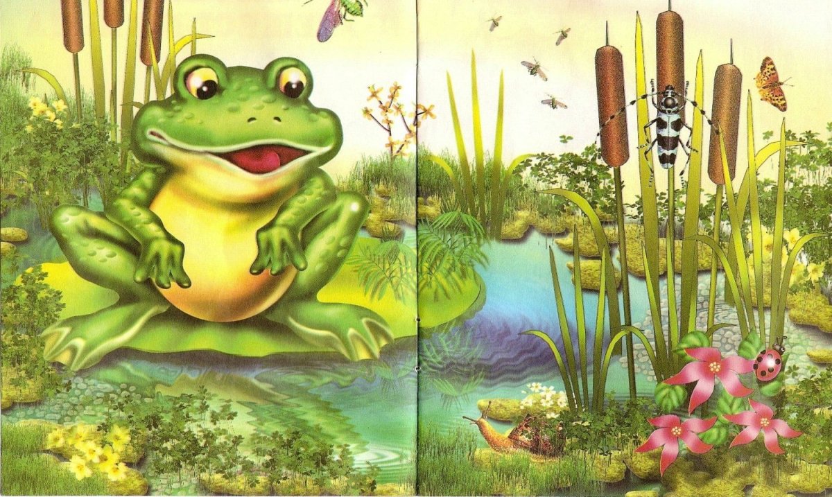 Лягушка квакушка сказка
