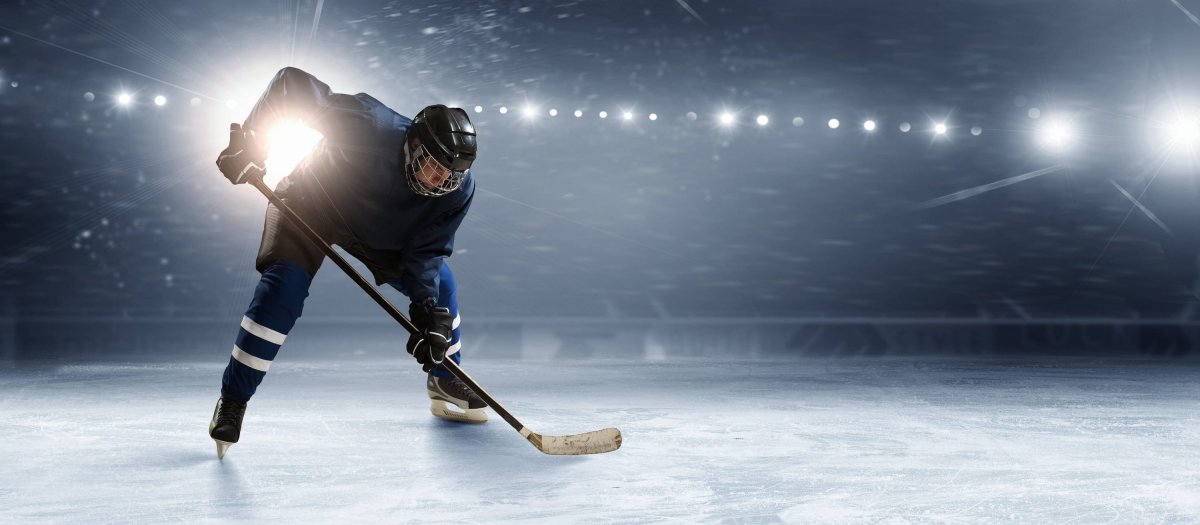 Хоккейный вратарь арт