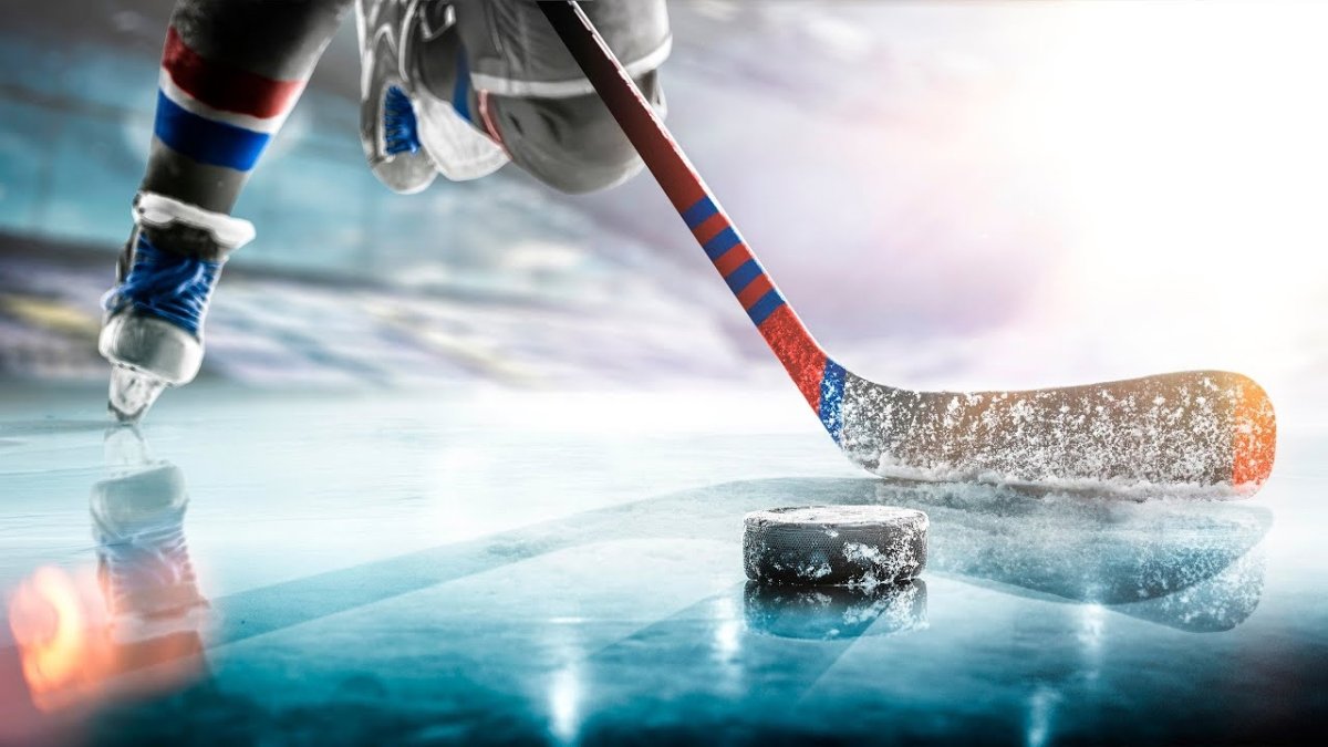 Хоккейная шайба в воротах