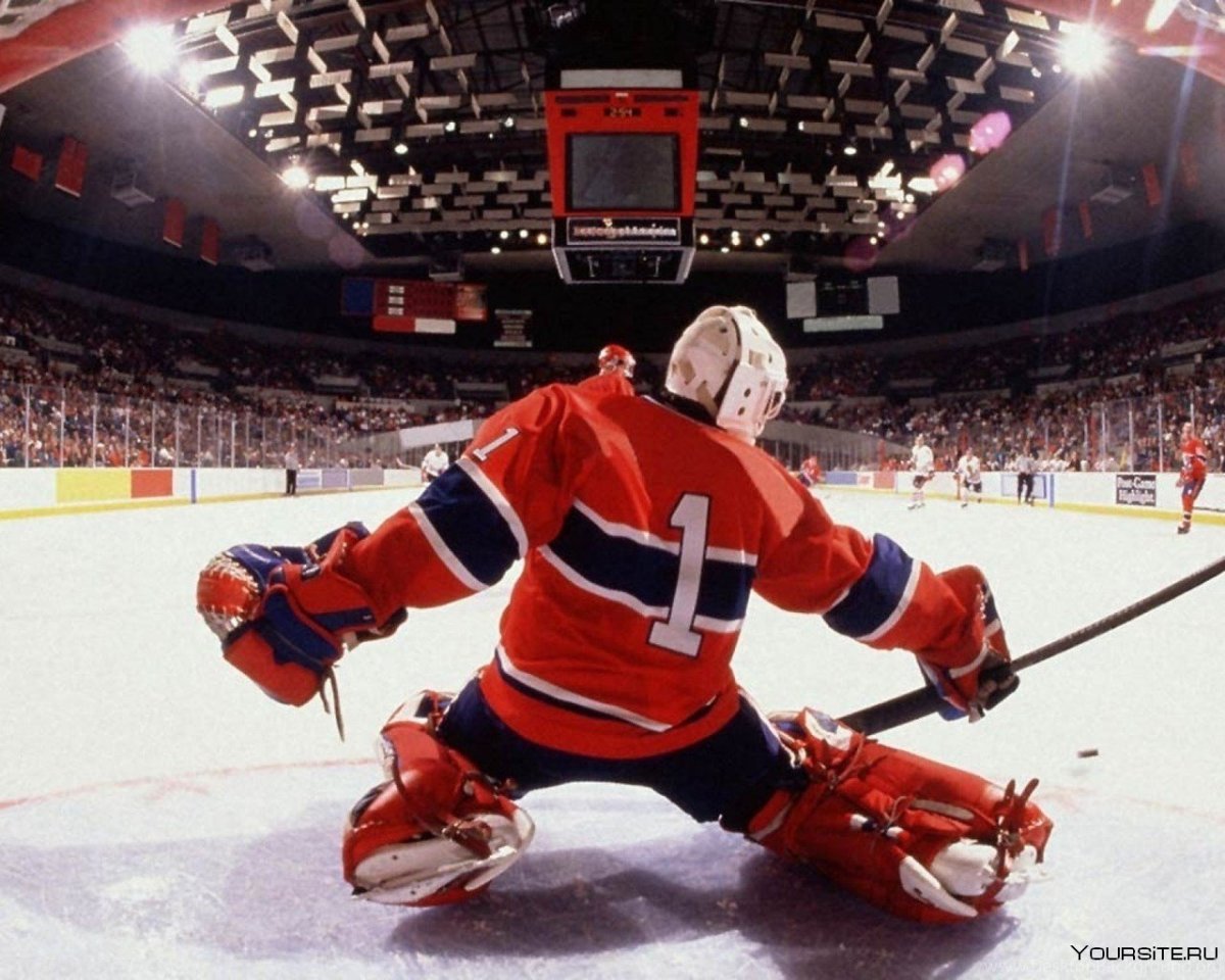 Хоккейный вратарь СКА