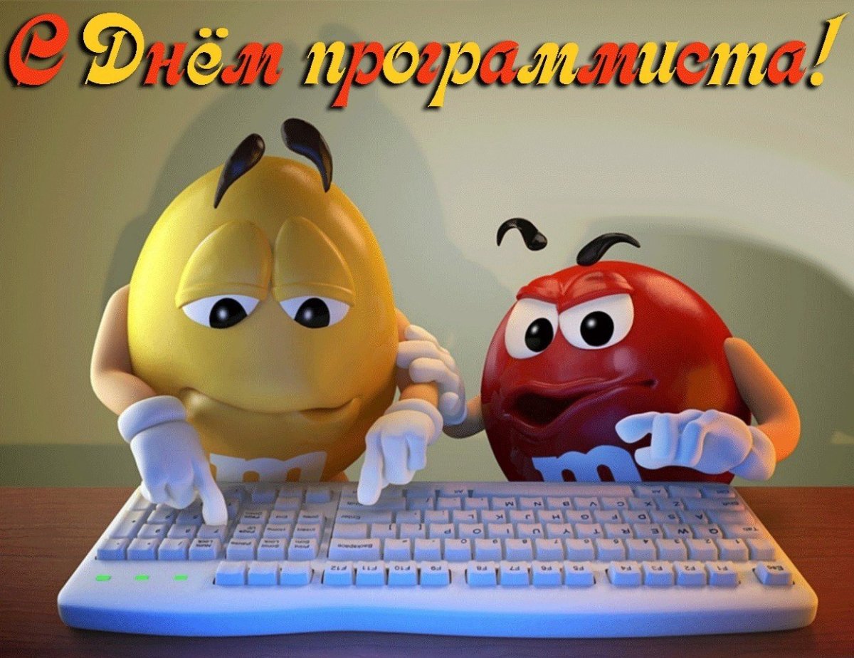 День программиста 256
