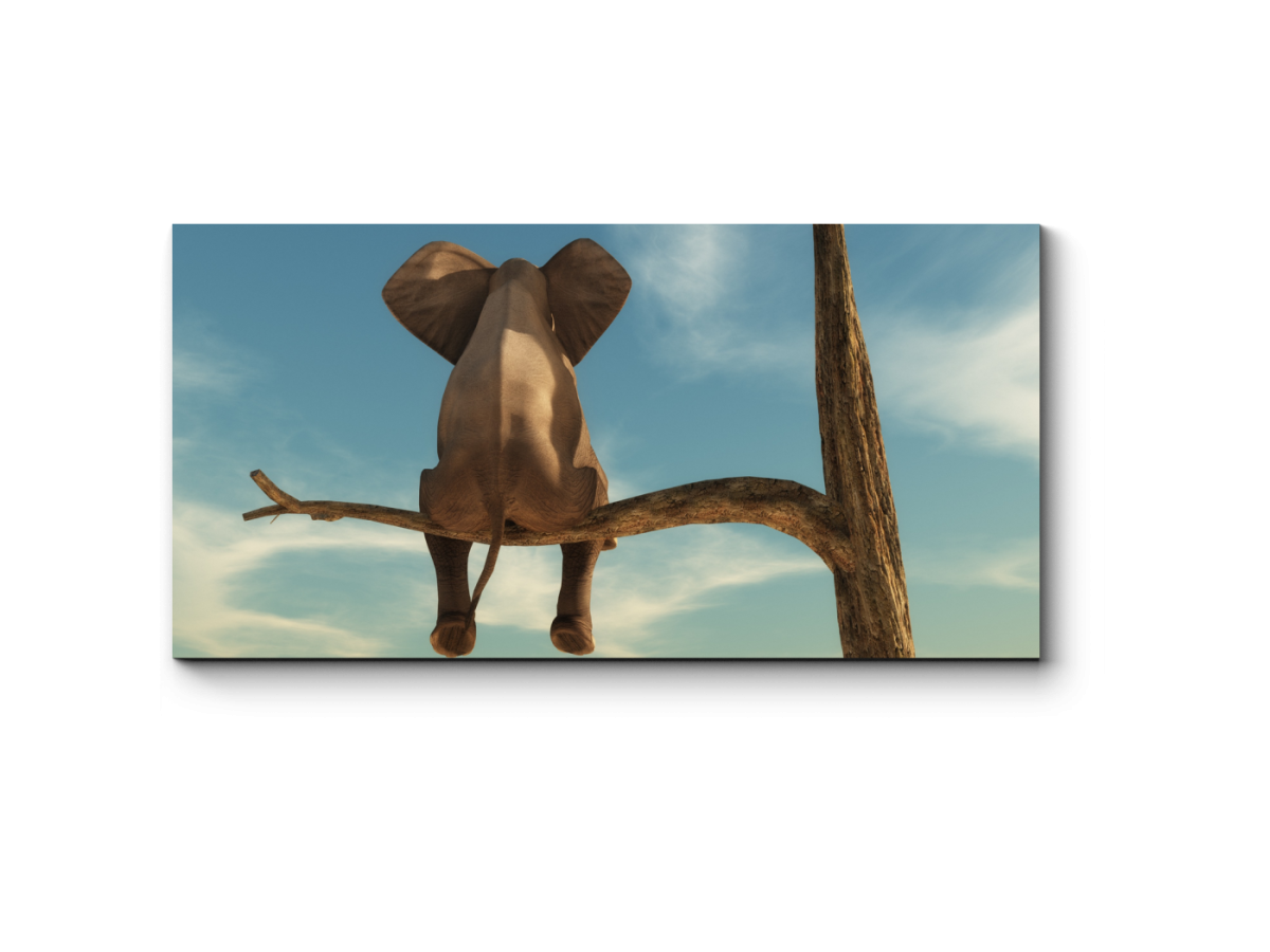 Слоненок на дереве