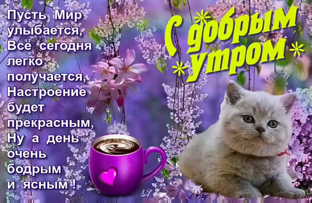 Чудесного настроения на весь день