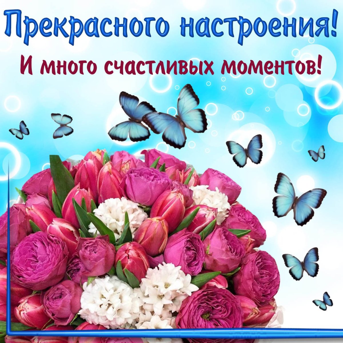 Доброе утро хорошего настроения