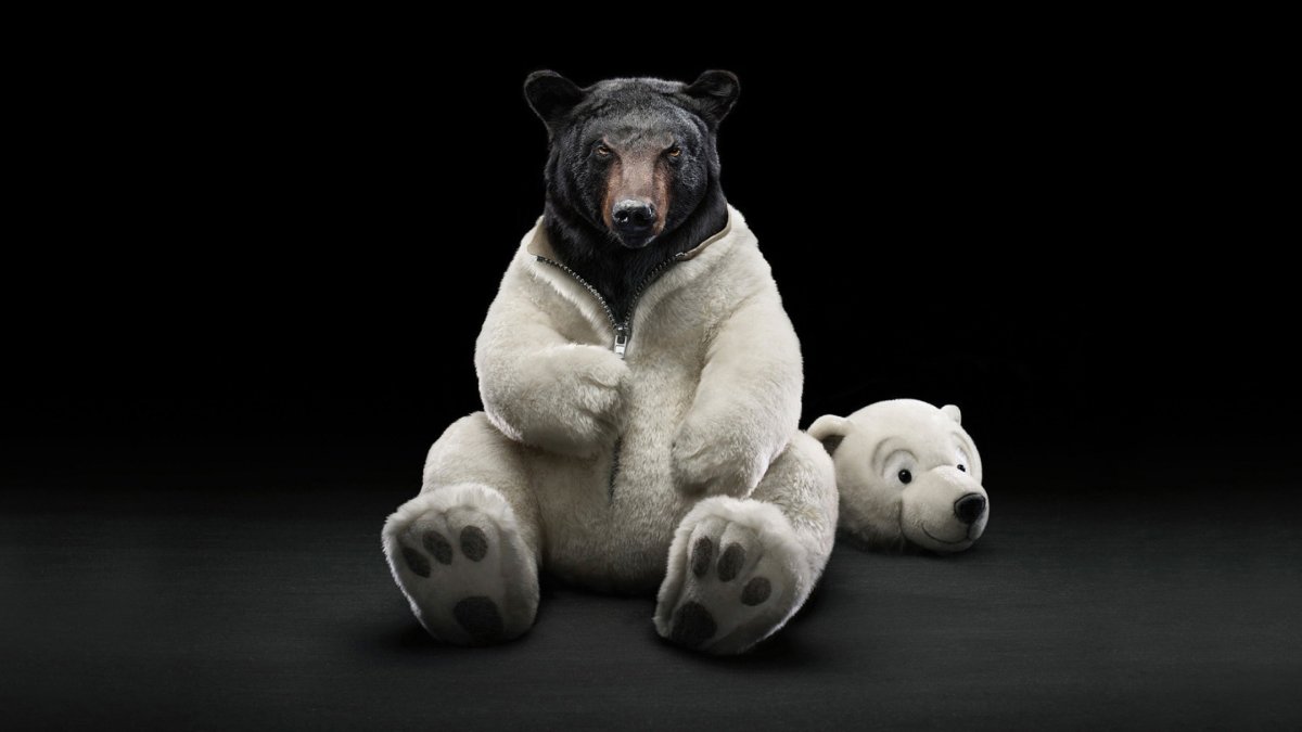 Животные на черном фоне