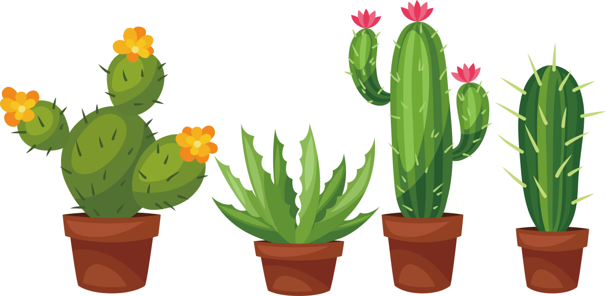 Мультяшная комнатные растения