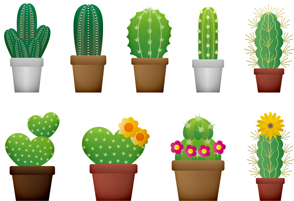 Кактус в горшке вектор