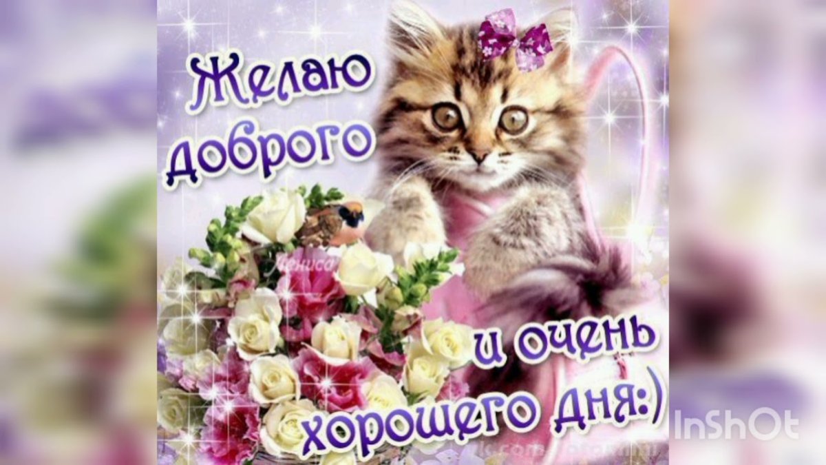 Доброго дня и хорошего