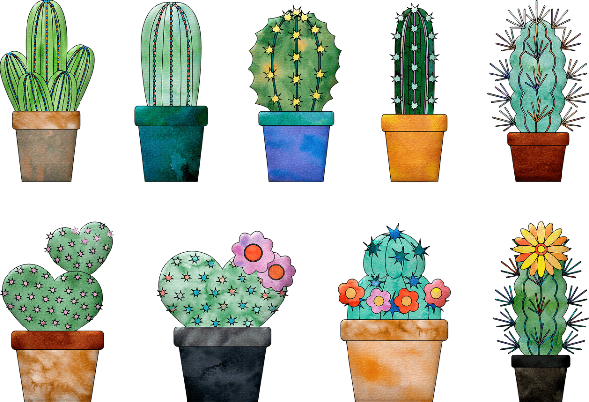 Кактус карандашом