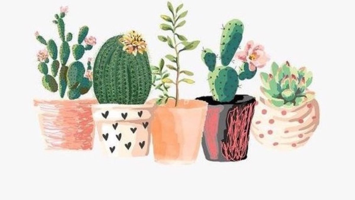 Постеры кактусы в скандинавском стиле