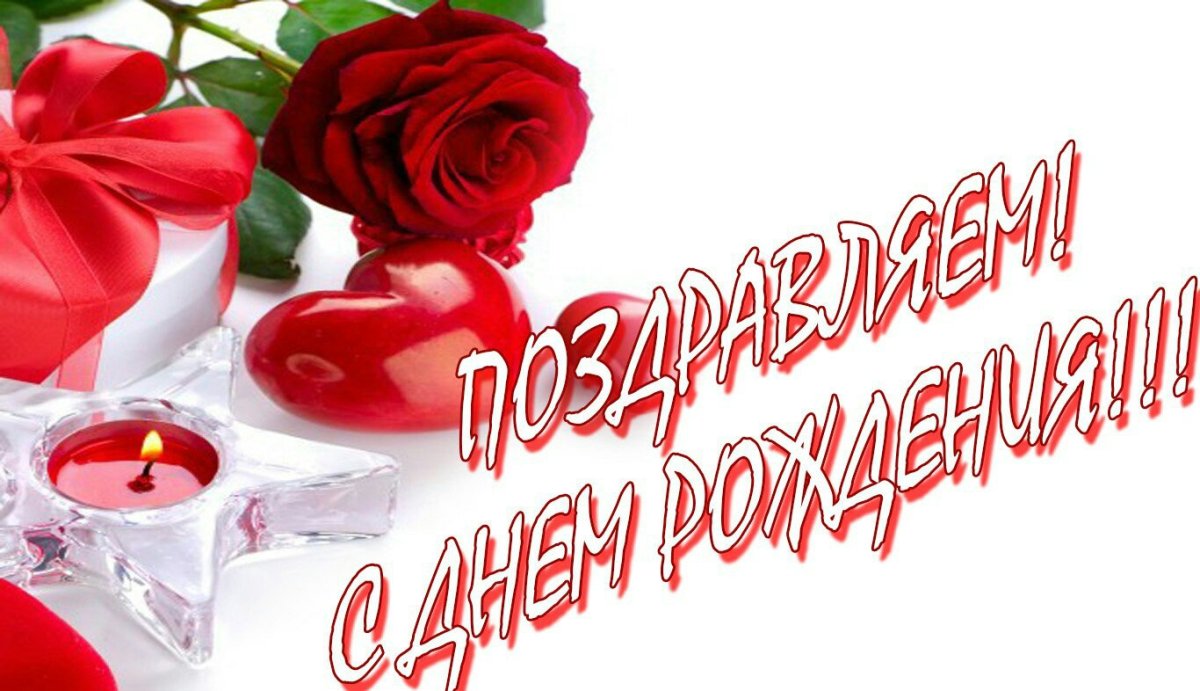 Чайная гибридная роза Анжелика