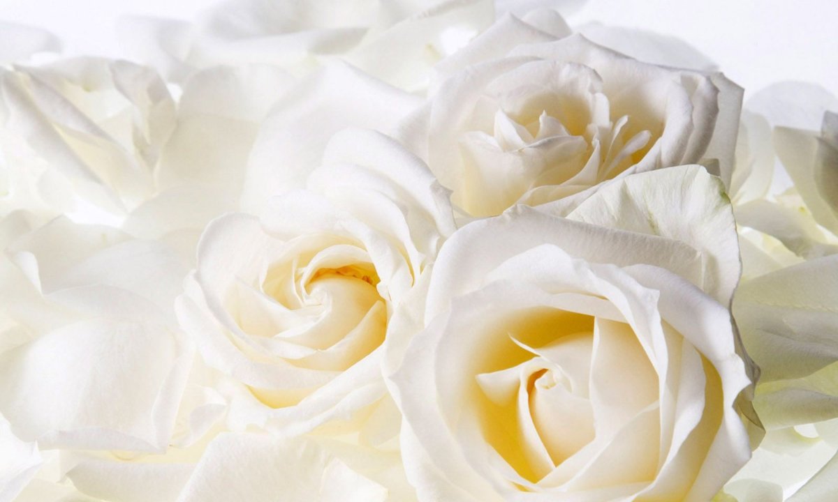 Прикольные открытки с днем рождения зинуля!