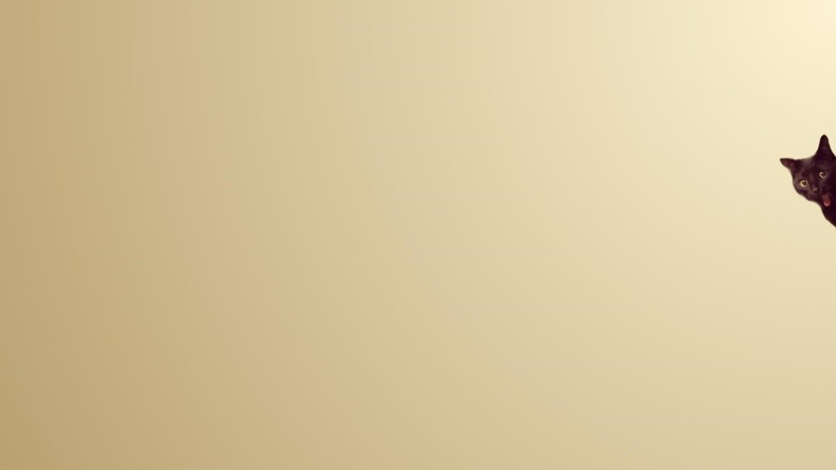 Одноцветный фон для фотошопа