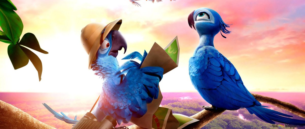 Жемчужинка Рио и Рио 2