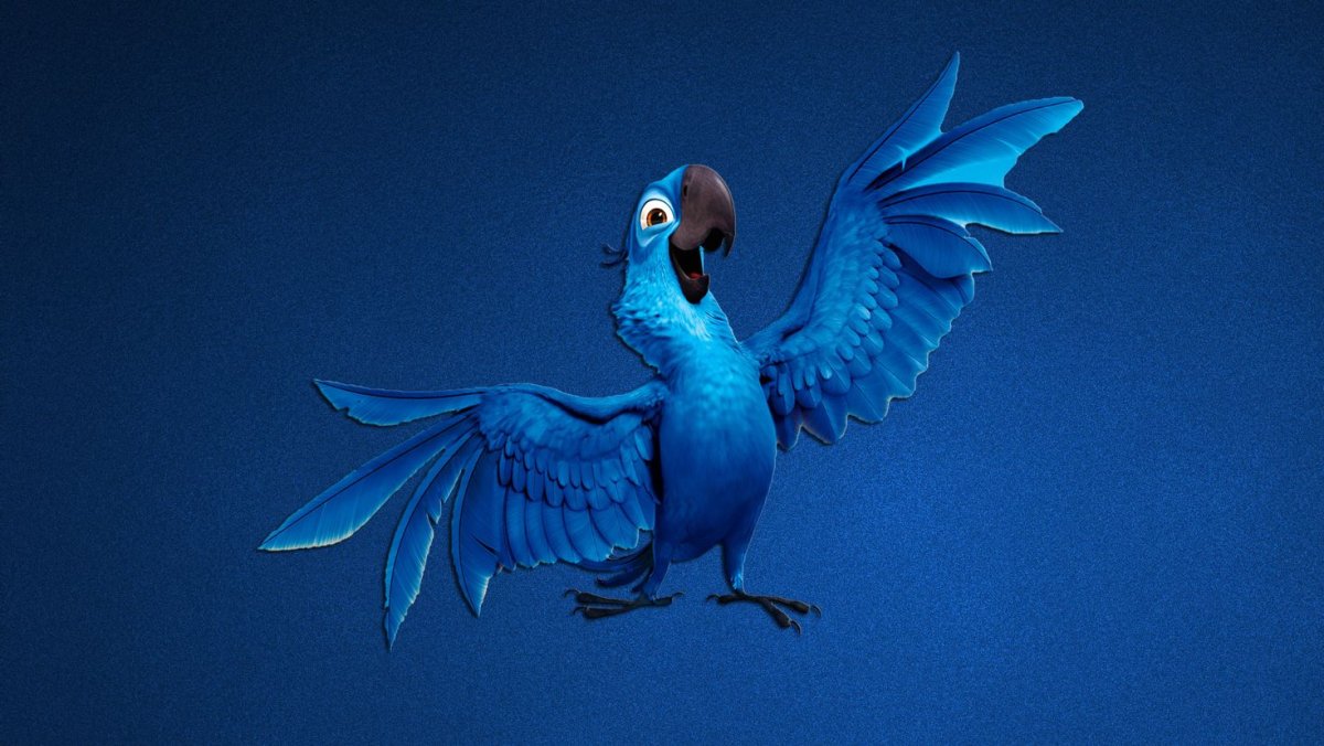 Рио мультфильм Голубчик