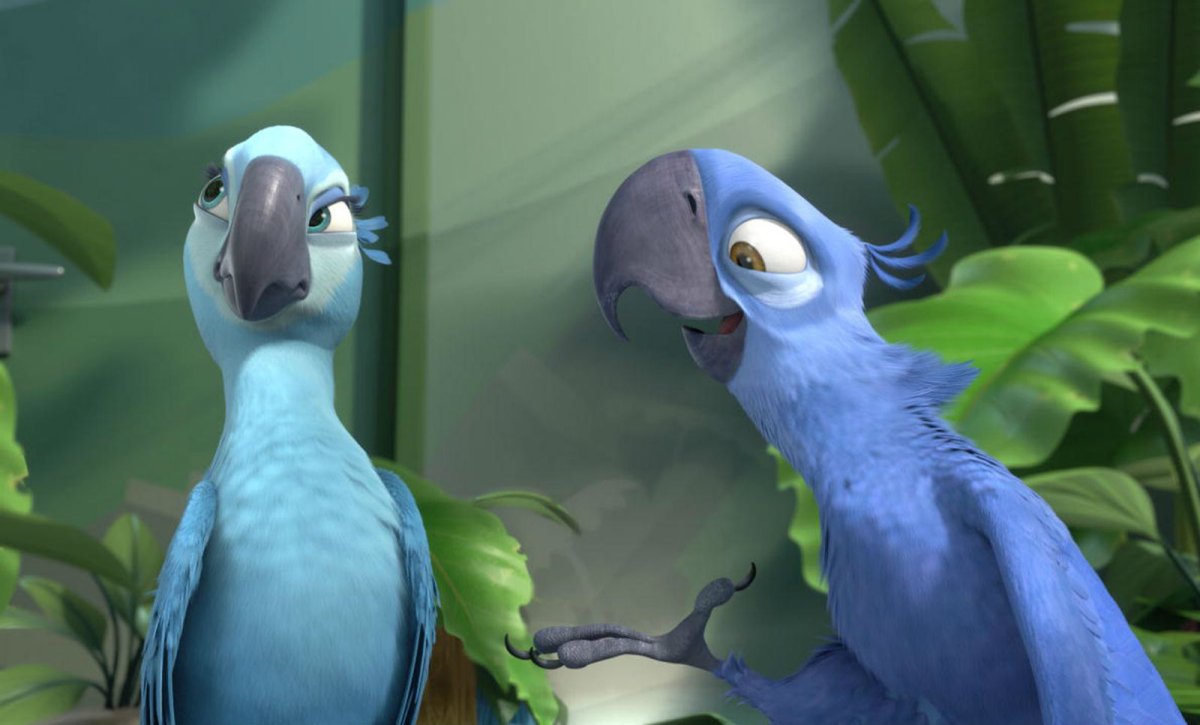 Рио2 Альберто