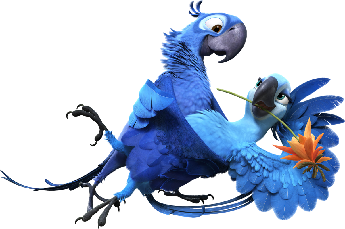 Рио-де-Жанейро (город в Бразилии) ночной